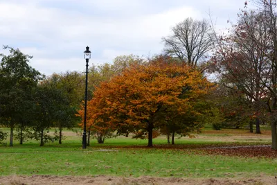 DSC_0585 (Large).JPG